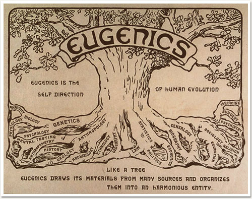 Logo of the Anglo-American Eugenics Movement that "Inspired" the Nazis and their Modern-day Successors
